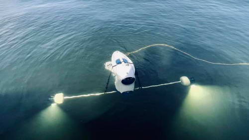 Blueye Robotics ROV just under the survace