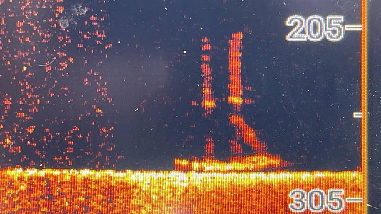 The W.C. Kimball on sonar