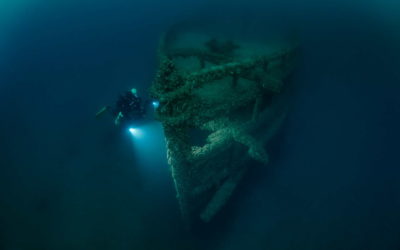 Preserving The Past: Diving The Westmoreland Shipwreck